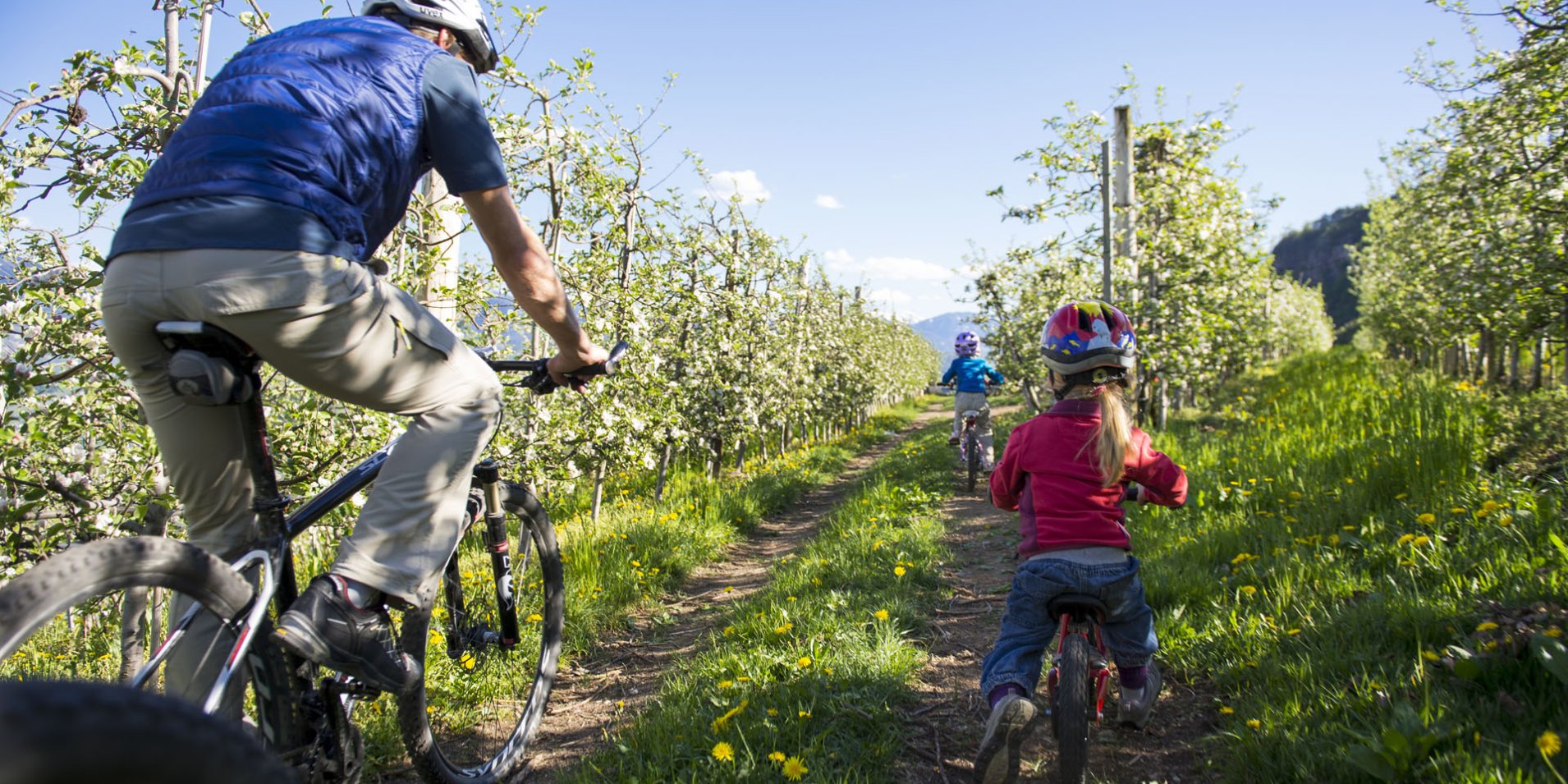 Biciclette